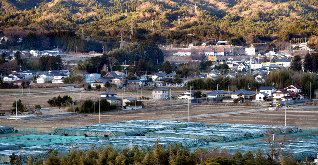 a0044103_8161925.jpg