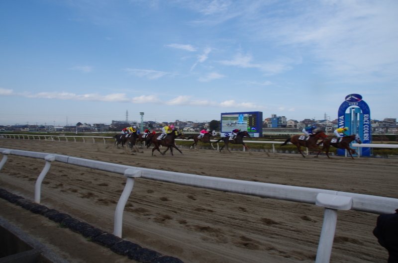 キングタイド 10戦目＠浦和競馬場　8R 2017.2.23_f0368205_21031506.jpg