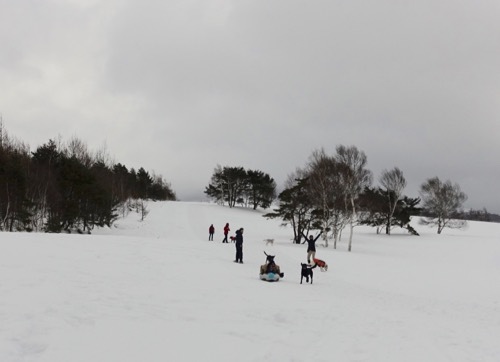 菅平で雪遊び_e0192217_10571423.jpg