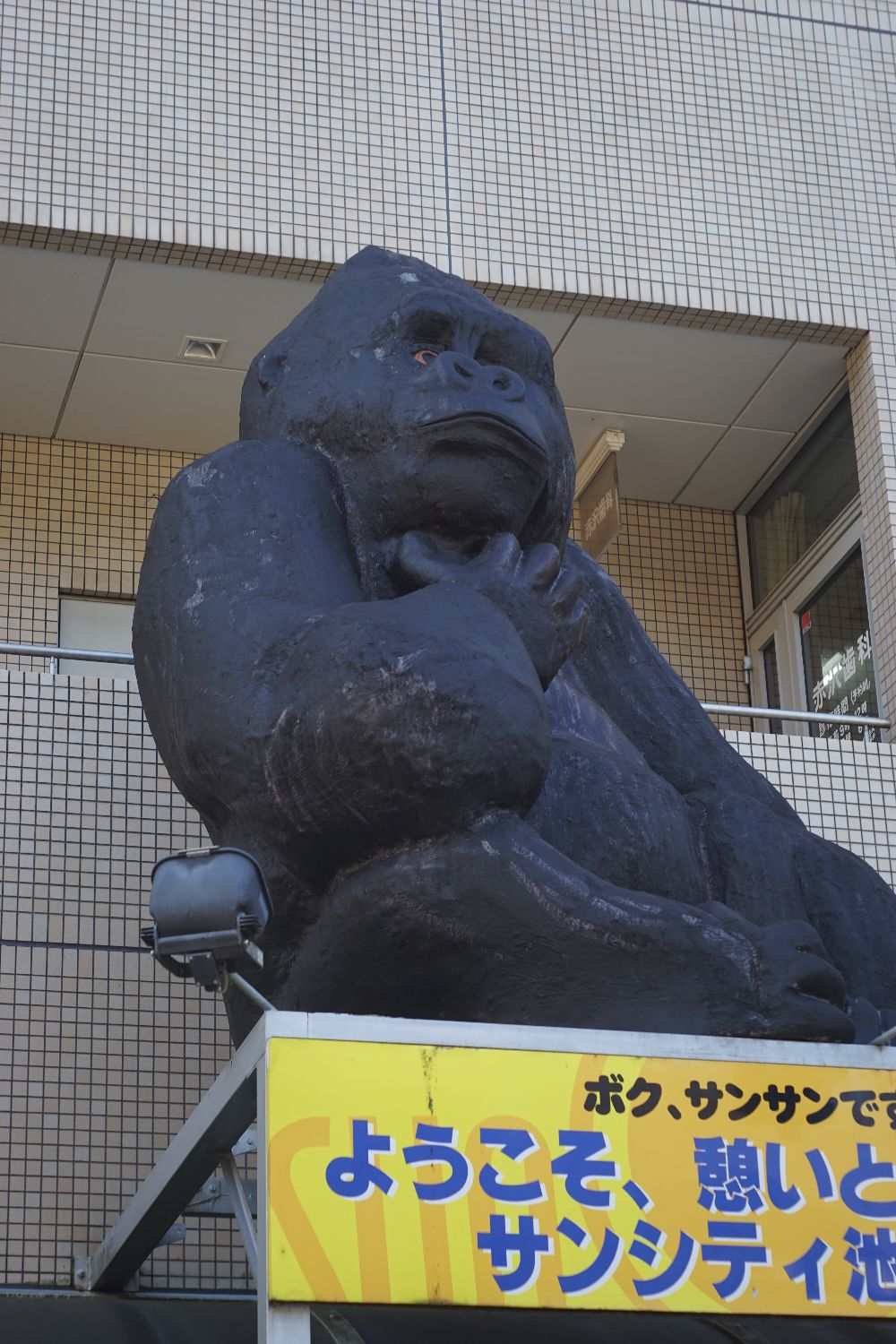 b0069128_1052949.jpg