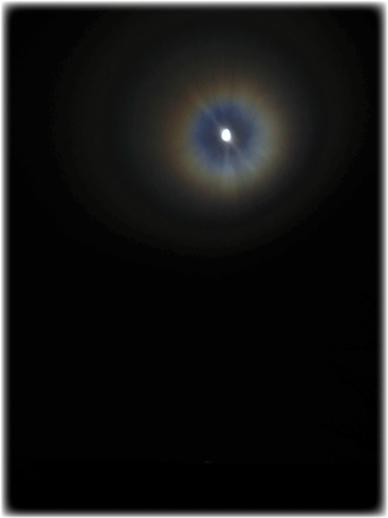 c0107829_23402651.gif