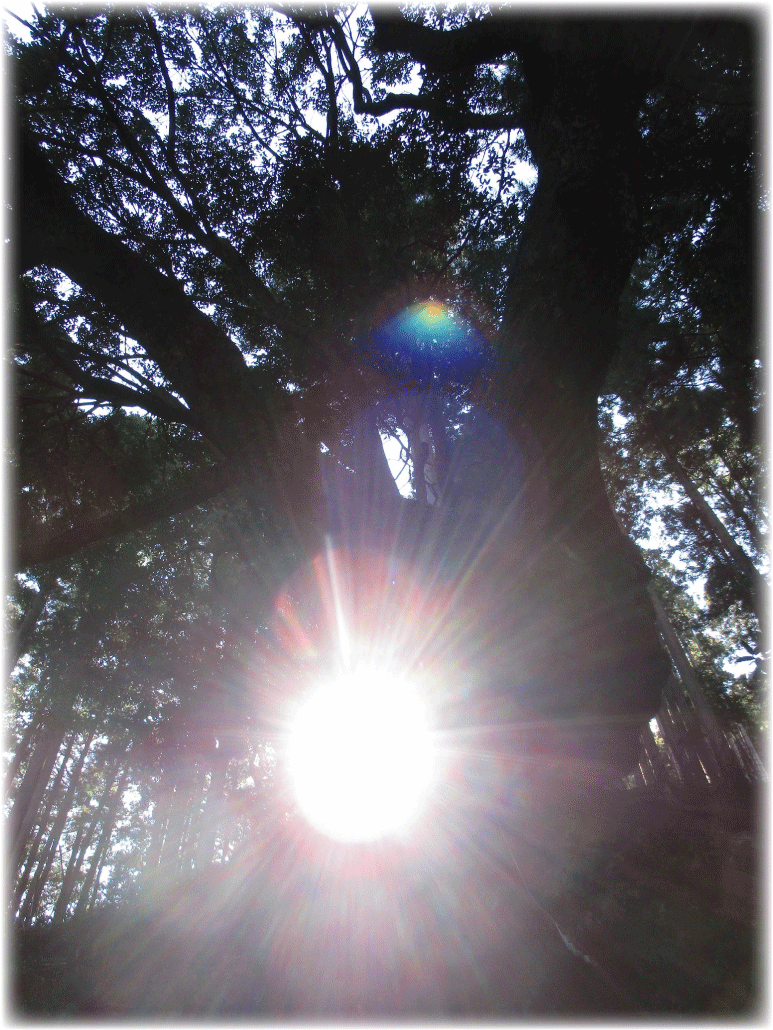 c0107829_23404223.gif