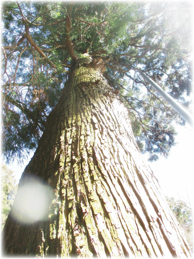 c0107829_23414297.gif