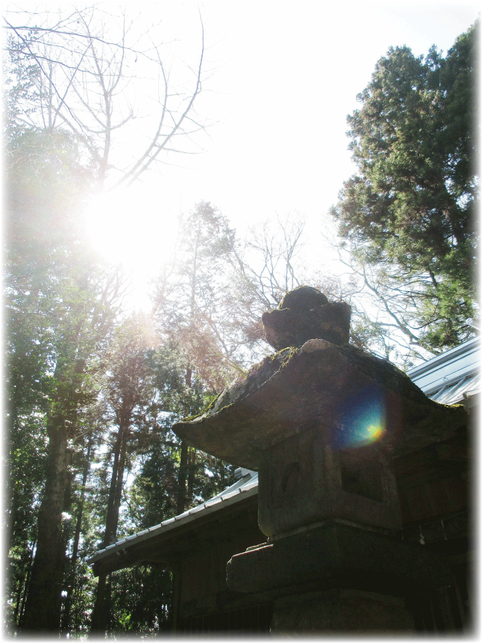 c0107829_23415649.gif