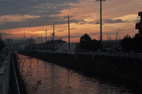 d0349141_23164657.jpg