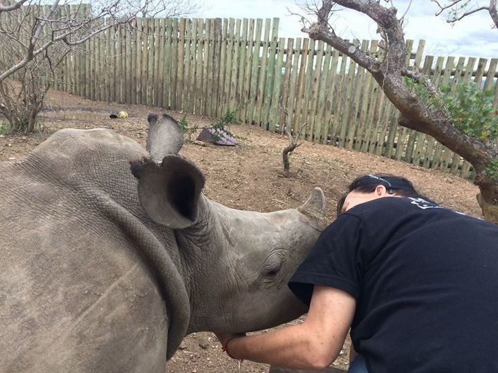 南アフリカのサイ孤児保護施設で残虐な密猟 親愛なる犀たちへ