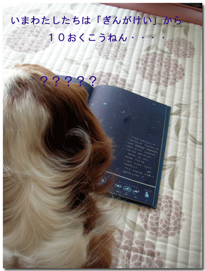 e0256058_10504351.gif