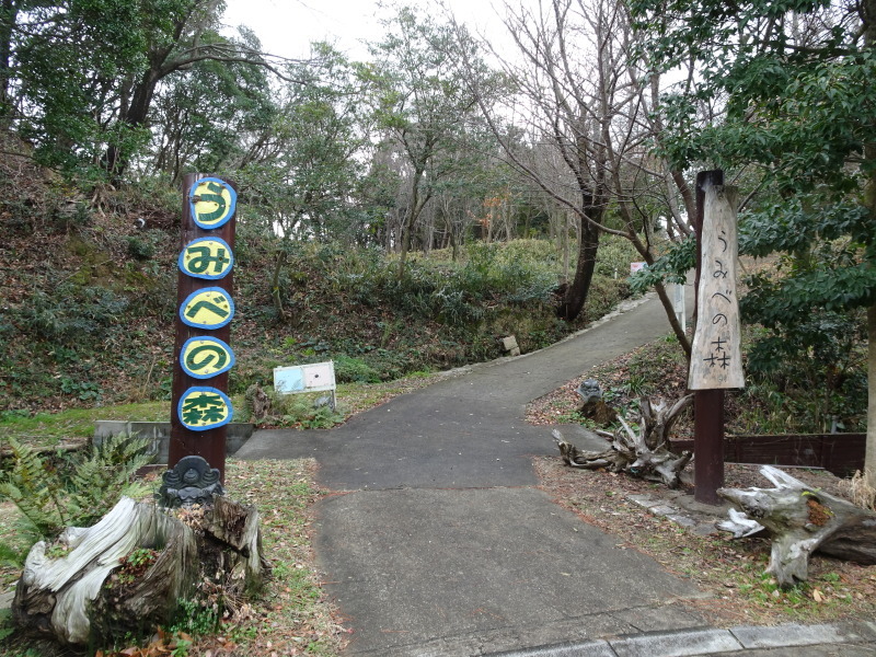 「しおさい楽習館」完成間近・・・せんなん里海公園_c0108460_20384897.jpg