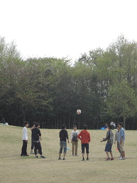 うまく育った「私」と「あなた」_b0141773_15580454.jpg