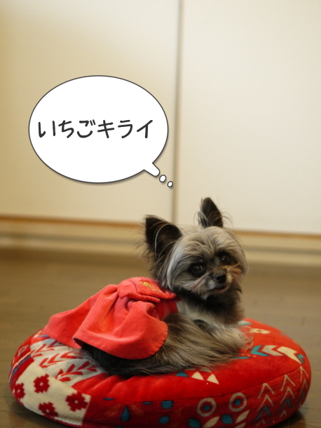 b0358575_18055912.png