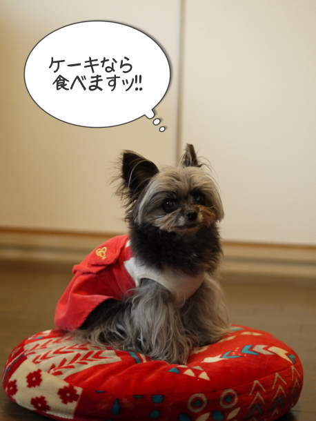 b0358575_18060719.png