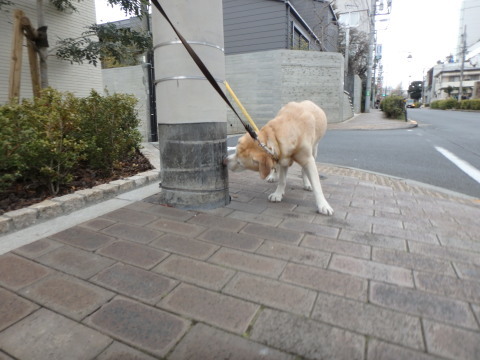 f0052277_01312612.jpg
