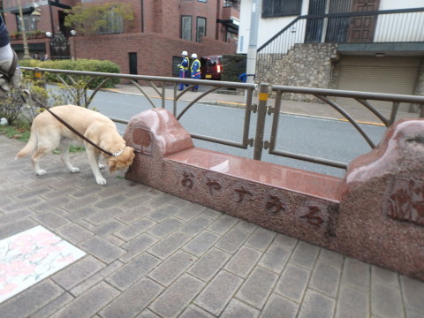 f0052277_01333051.jpg