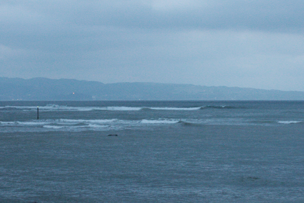 b0176483_1847948.jpg