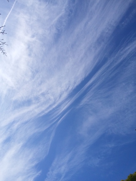 e0371086_23135320.jpg