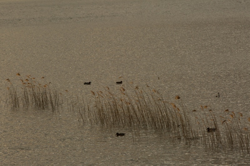 a0327791_20334601.jpg