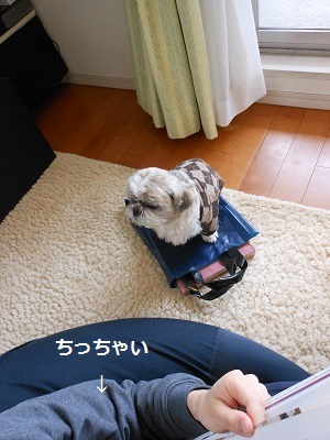 f0372998_07264928.jpg
