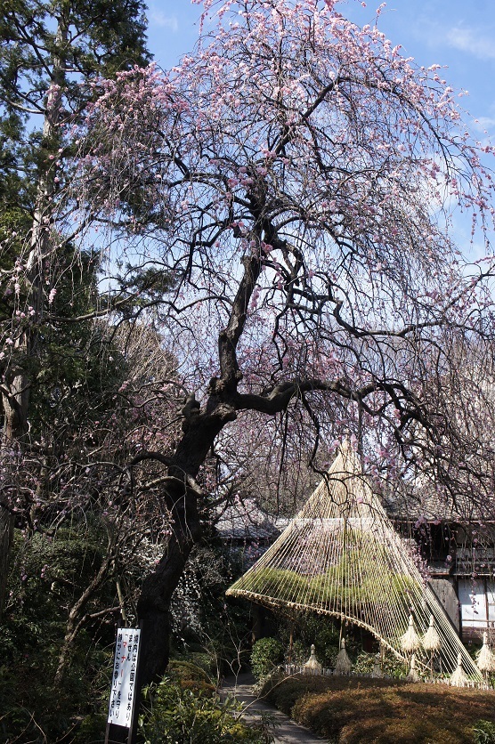 b0112909_22180101.jpg