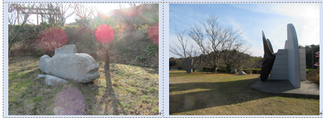 今治市大角海浜公園の水仙と河津桜と多くの種類の春の雲…2017/2/18_f0231709_18213114.png