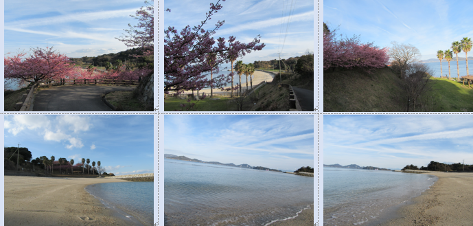 今治市大角海浜公園の水仙と河津桜と多くの種類の春の雲…2017/2/18_f0231709_18303370.png