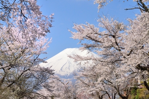b0369916_19121390.jpg