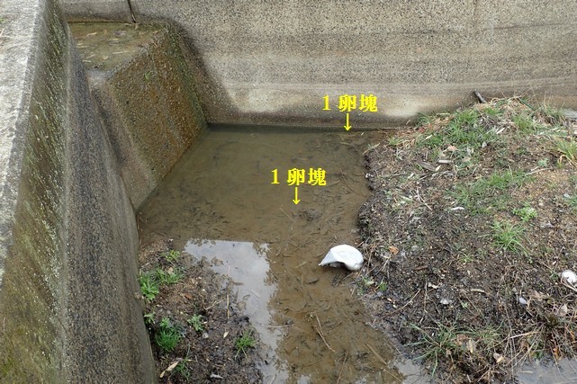 c0369423_17560397.jpg