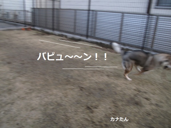 f0143123_10174132.jpg