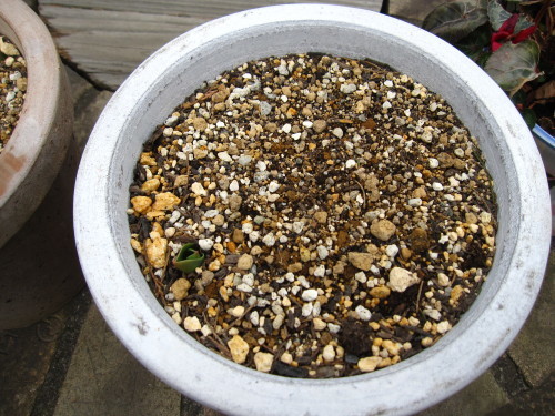 e0350927_10140003.jpg