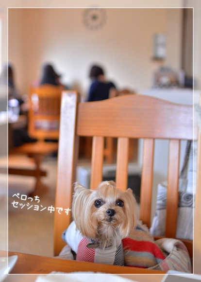d0179828_21554929.png