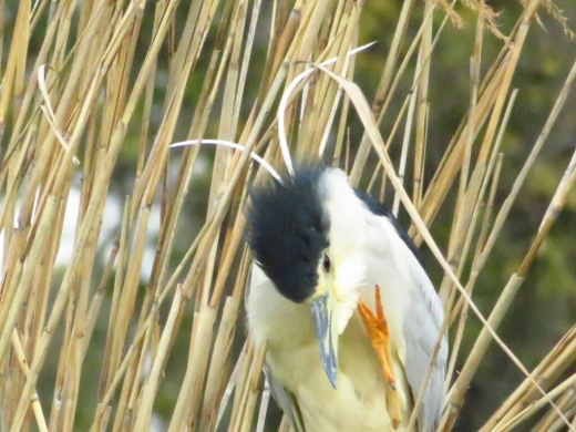 a0018655_15320120.jpg