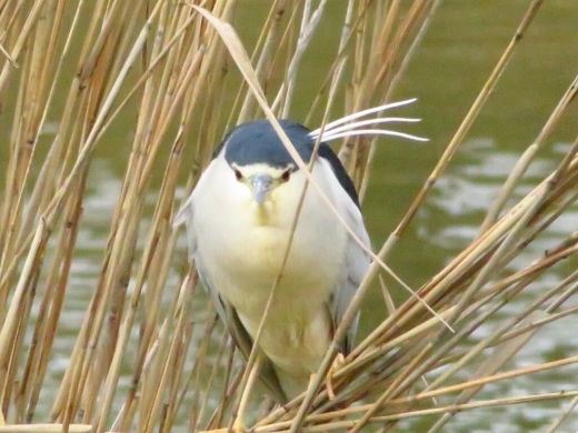 a0018655_15512861.jpg