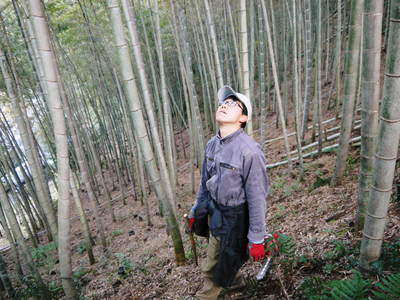 幻の白い「長生たけのこ」　親竹の伐採で活性化！若返らせ元気な“たけのこ畑”を作る匠！_a0254656_18332659.jpg