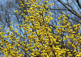 a0248459_15134572.jpeg
