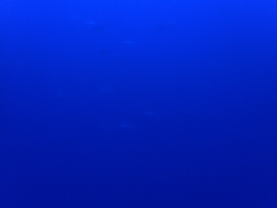 2月24日 寒いです(-_-;)_d0113459_18450789.jpg