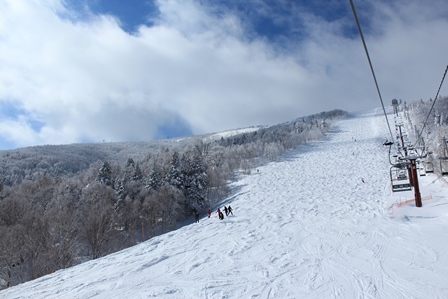 a0208560_16244531.jpg