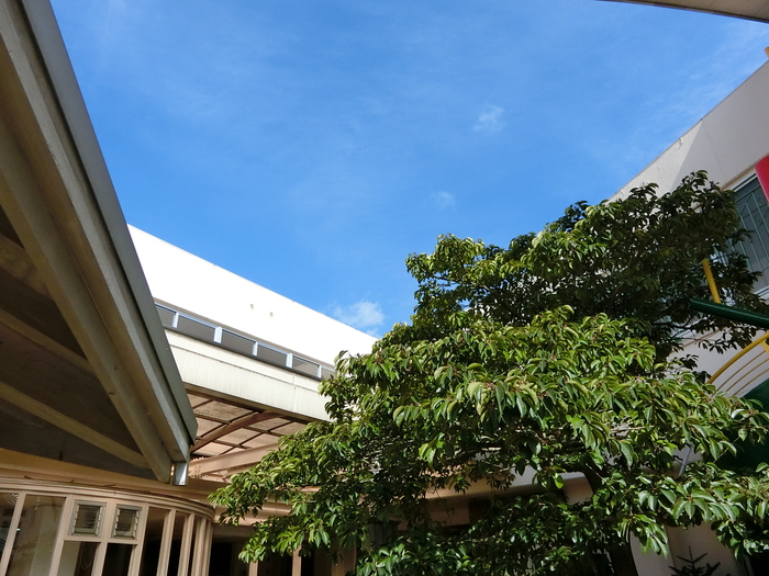 c0133361_15204933.jpg