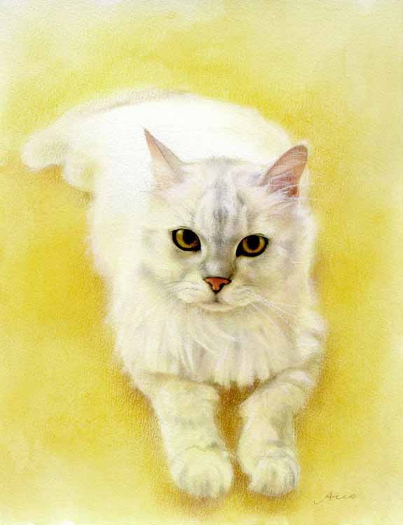 猫恋し_e0105782_19211337.jpg