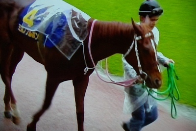 ミホノブルボン 1991年朝日杯3歳ステークス1着 単勝馬券 1991年
