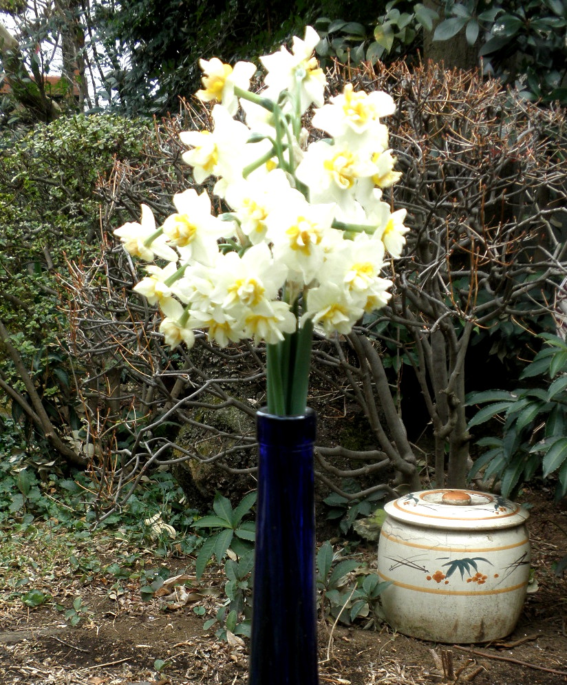 f0157395_1155954.jpg