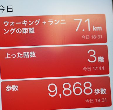 ティツィアーノ展&ぼたん苑_c0090198_21533357.jpg