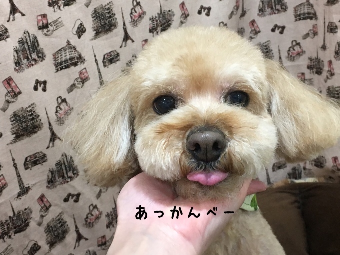 d0269898_12092604.jpeg