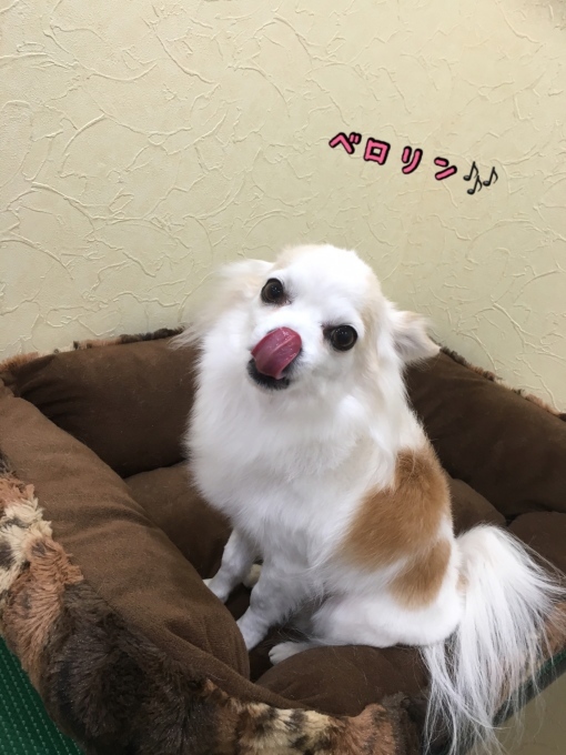 d0269898_12102673.jpeg