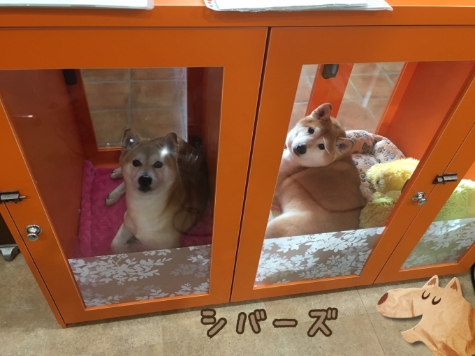 d0269898_12274211.jpeg