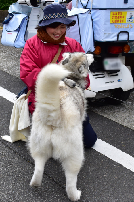 びびるわ～　(*^_^*)_c0049299_23111658.jpg