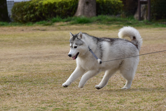 びびるわ～　(*^_^*)_c0049299_23151121.jpg