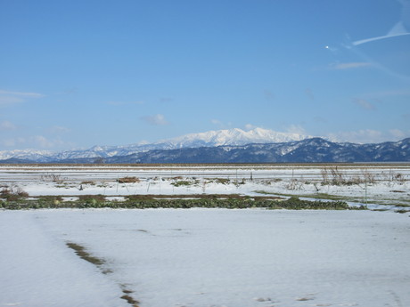 a0203003_19571981.jpg