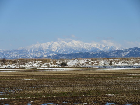 a0203003_1958585.jpg