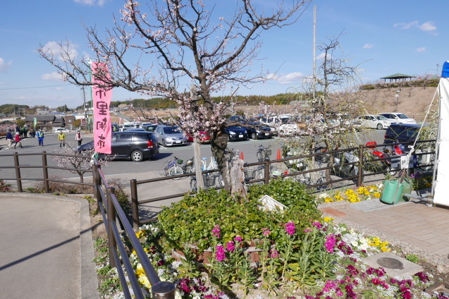 f0250403_20453234.jpg