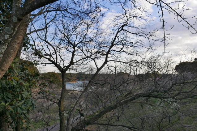 f0250403_21025886.jpg