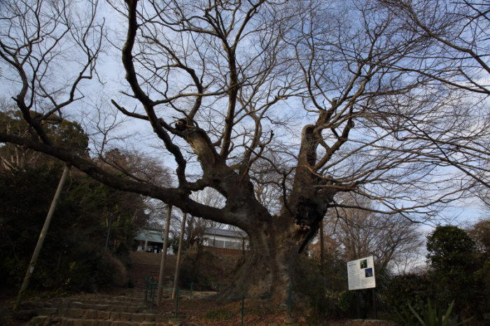 新田神社　太田金山ハイキング＃３_a0357206_22100417.jpg